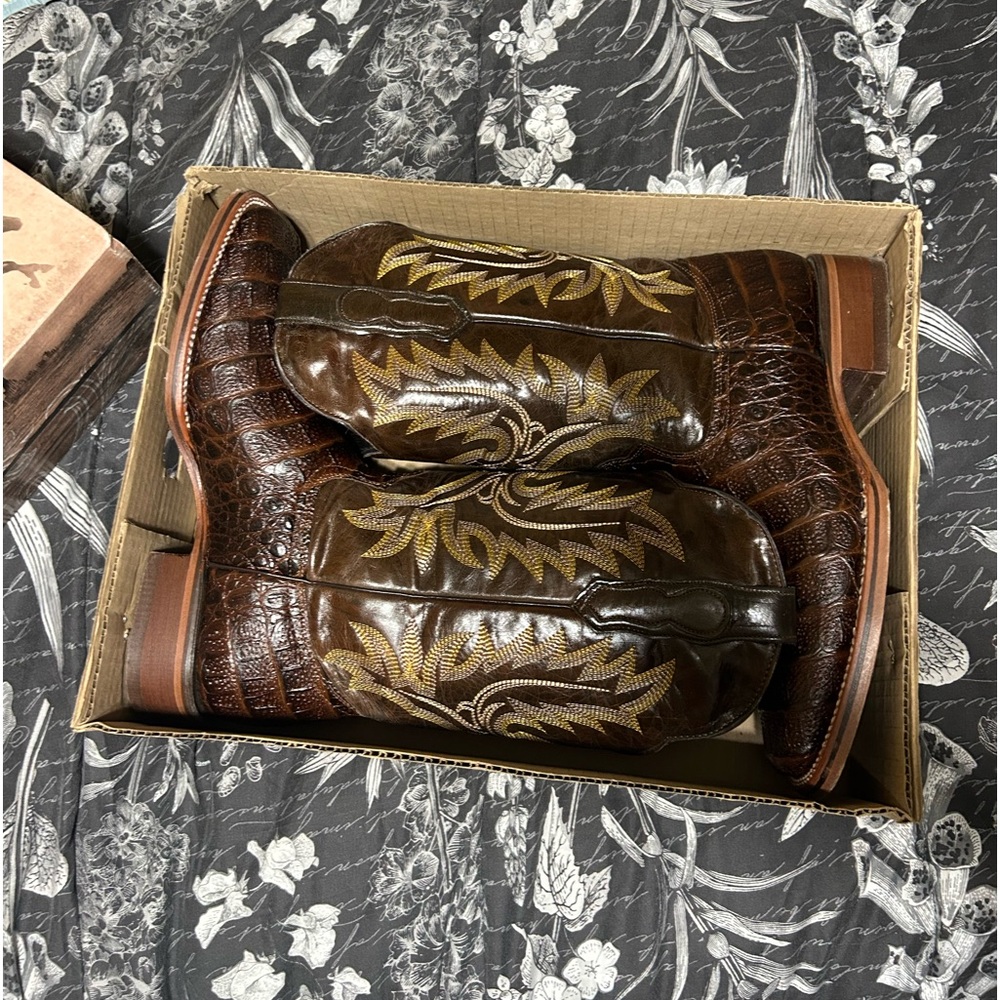 Alligator western boots